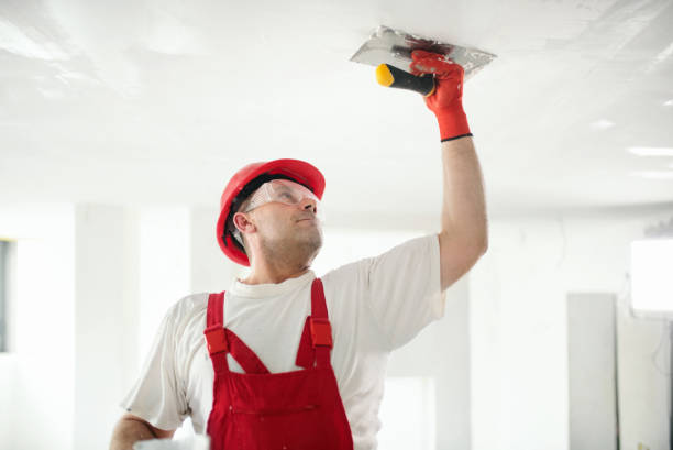 Reliable Bayside Gardens, OR Mold Removal Solutions